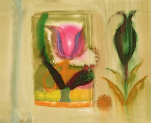 Explosión de flores